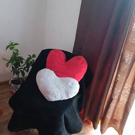 Apartment сихів зелена пасічна новобудова жк первоцвіт, вулецька *